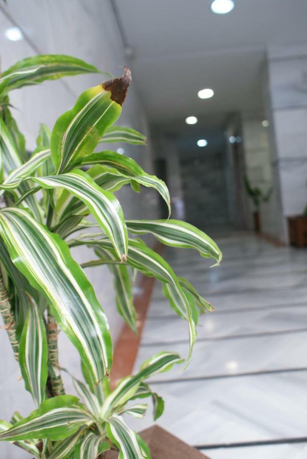 Calma Chicha Apartment มาลากา ภายนอก รูปภาพ